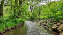 Bachlauf mit teilweise verbautem Uferrand (Blocksteinschüttungen)