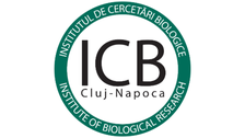 Logo ICB Rumänien- Schriftzug mit grünem Kreis