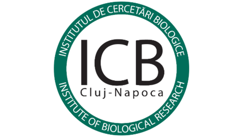 Logo ICB Rumänien- Schriftzug mit grünem Kreis