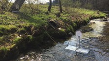 Fahne, die in einem Fluss steht und eine Microcosmos-Plattform (Plastik-Kasten mit Objektträgern) markiert