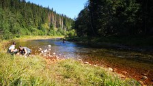 Projektpartner nehmen Proben in einem Fluss umgeben von Wald in Rumänien
