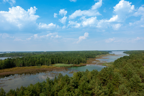 Bergbaufolgelandschaft mit Wald und Wasser