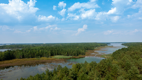 Bergbaufolgelandschaft mit Wald und Wasser