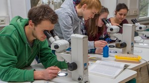 Studierendengruppe an mikroskopen und Biokularen bei Bestimmung von Makrozoobenthos