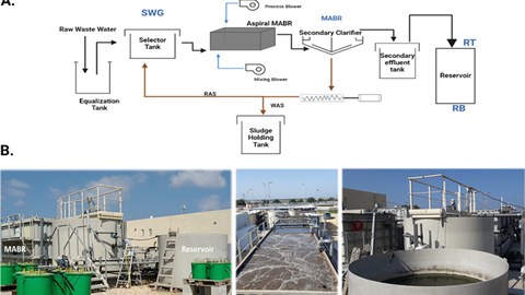 Schematic diagram of the raw-sewage–MABR–reservoir continuum at the beta site.