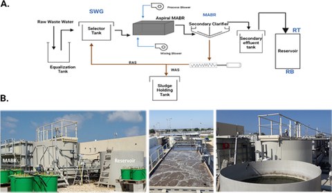 Schematic diagram of the raw-sewage–MABR–reservoir continuum at the beta site.