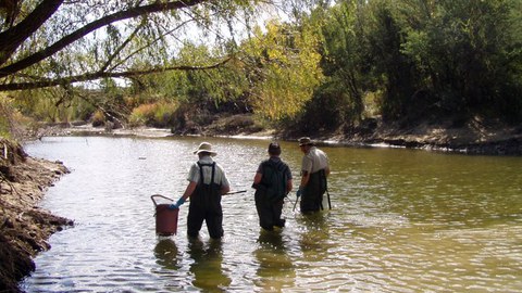 Rückansicht von 3 leuten in Wathose in einem Fluss mit Keschern