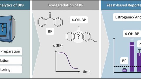 To carry out risk assessments of benzophenone-type UV filters (BPs), fast and accurate analytical methods are crucial to determine and monitor levels in the environment. 