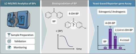 To carry out risk assessments of benzophenone-type UV filters (BPs), fast and accurate analytical methods are crucial to determine and monitor levels in the environment. 