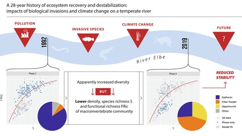 graphical abstract Worischka, scitotenv 2023