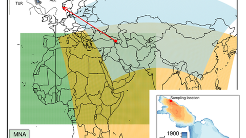 Map of the geographical coverage of the CORDEX domains used in this study.