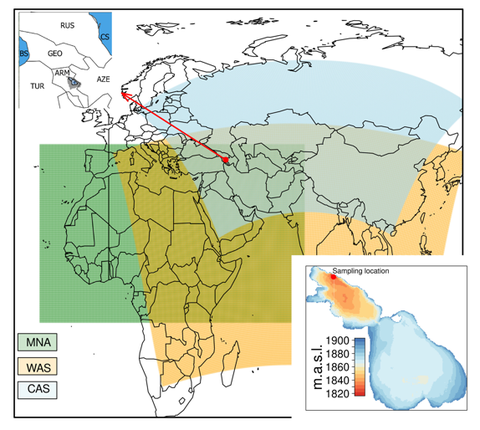 Map of the geographical coverage of the CORDEX domains used in this study.