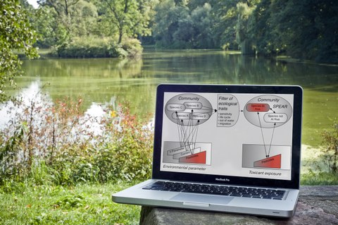 Laptop mit Modellen im auf dem Bildschirm, im Hintergrund, Wiese und ein See