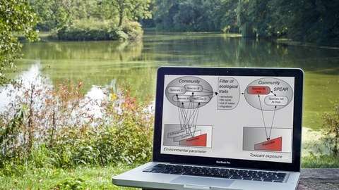 Laptop mit Modellen im auf dem Bildschirm, im Hintergrund, Wiese und ein See