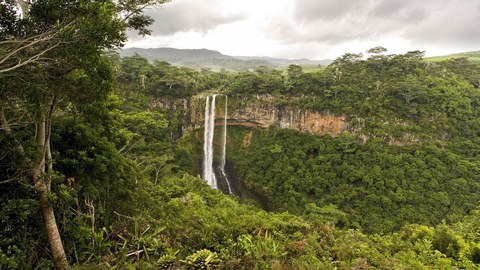 Das Foto zeigt einen Wasserfall inmitten des Regenwalds.