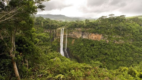 Das Foto zeigt einen Wasserfall inmitten des Regenwalds.