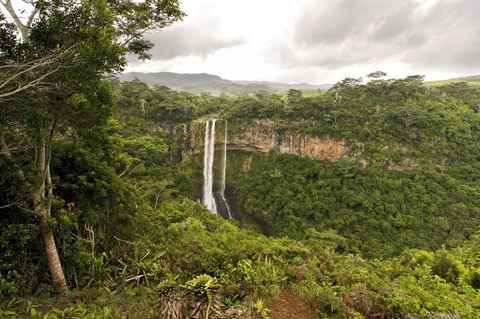 Das Foto zeigt einen Wasserfall inmitten des Regenwalds.