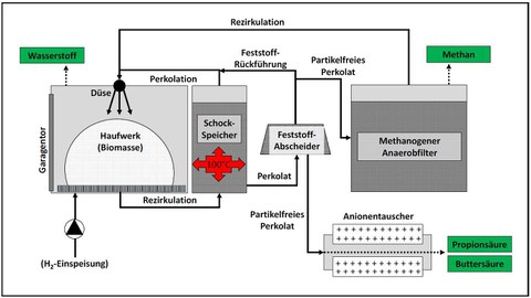 Schema AcidManip