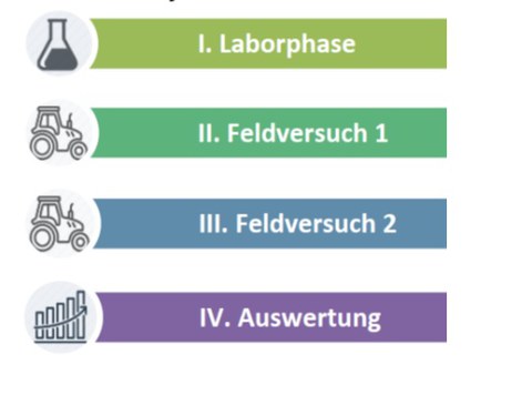 Ablauf Projekt The Biochar Story