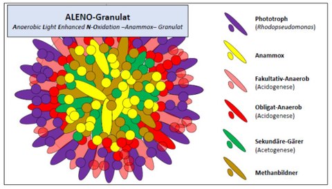 ALENO-Projekt, Schema der Komponenten