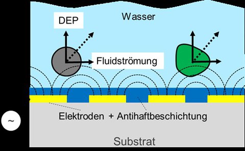 Antifouling-Beschichtung optischer Oberflächen von Schiffen 