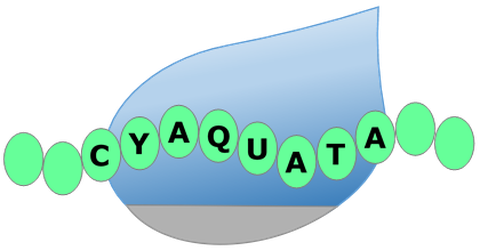 Logo Cyaquata