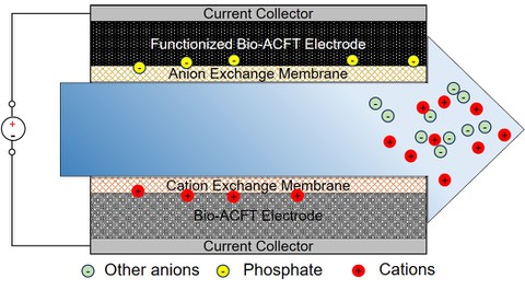 Membrananlage Funktion