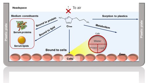 Ionic liquids partitioning in cell assays