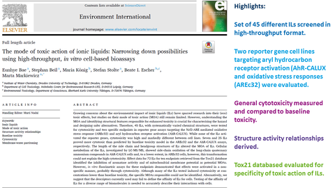 New paper by Bae et al. 2024