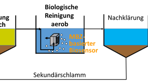 Biosensors Project