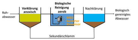 Biosensors Project