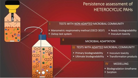 Persistence and acute toxicity of NSO-PAHs