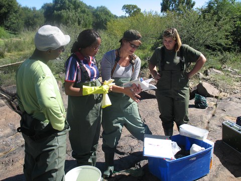 students participation