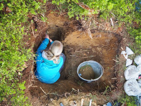 BeschreibungIm Rahmen der Feldkampagne wurden u.a. auch Bodenuntersuchungen durchgeführt und Bodenproben genommen.