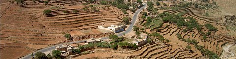 Terraced agriculture