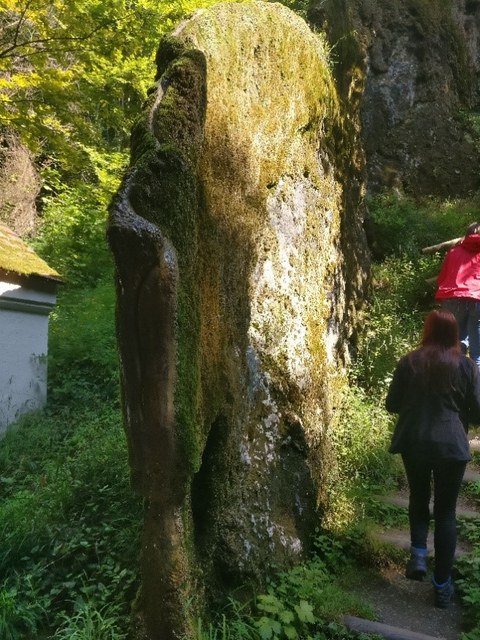 Wachsender Felsen