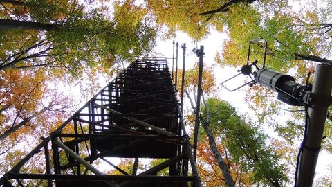 Projekt Waldschall, Messturm mit Ultraschallanemometern