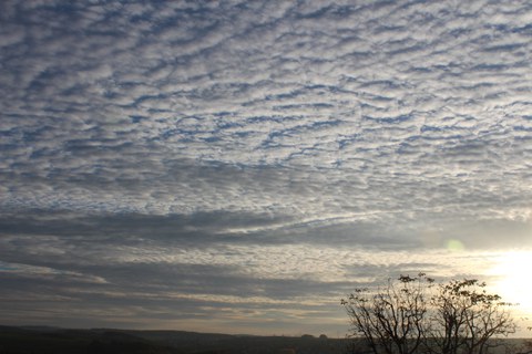 Altocumulus