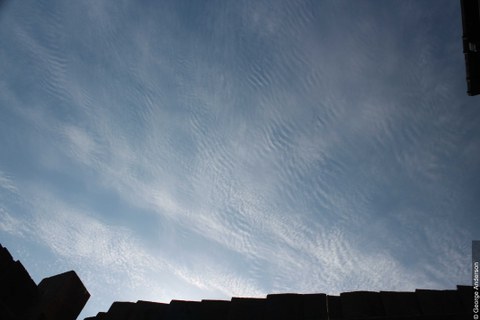 Cirrocumulus