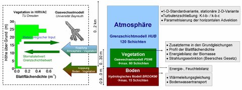 Bild Hirvac