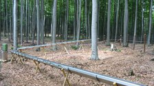 Buchenstandort Landberg Niederschlagsmessung