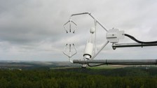 Buchenstandort Landberg Sonic