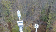 Buchenstandort Landberg Strahlung