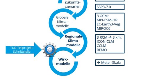 NUKLEUS Schema