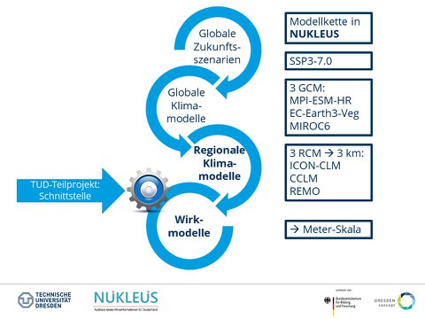 NUKLEUS Schema