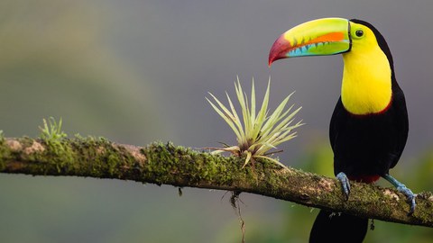 Managed aquifer recharge in Costa Rica: a tool for managing water scarcity during the dry season