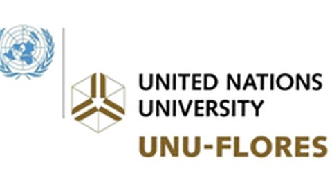 Logo Unu-Flores