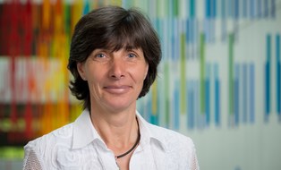 Dr. Heike Brückner