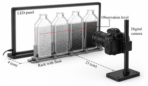 Flocculation and settling of fine sediments