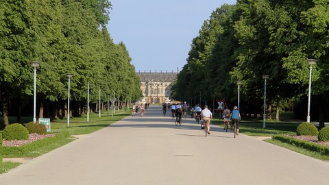 Grüne Infrastruktur Dresden